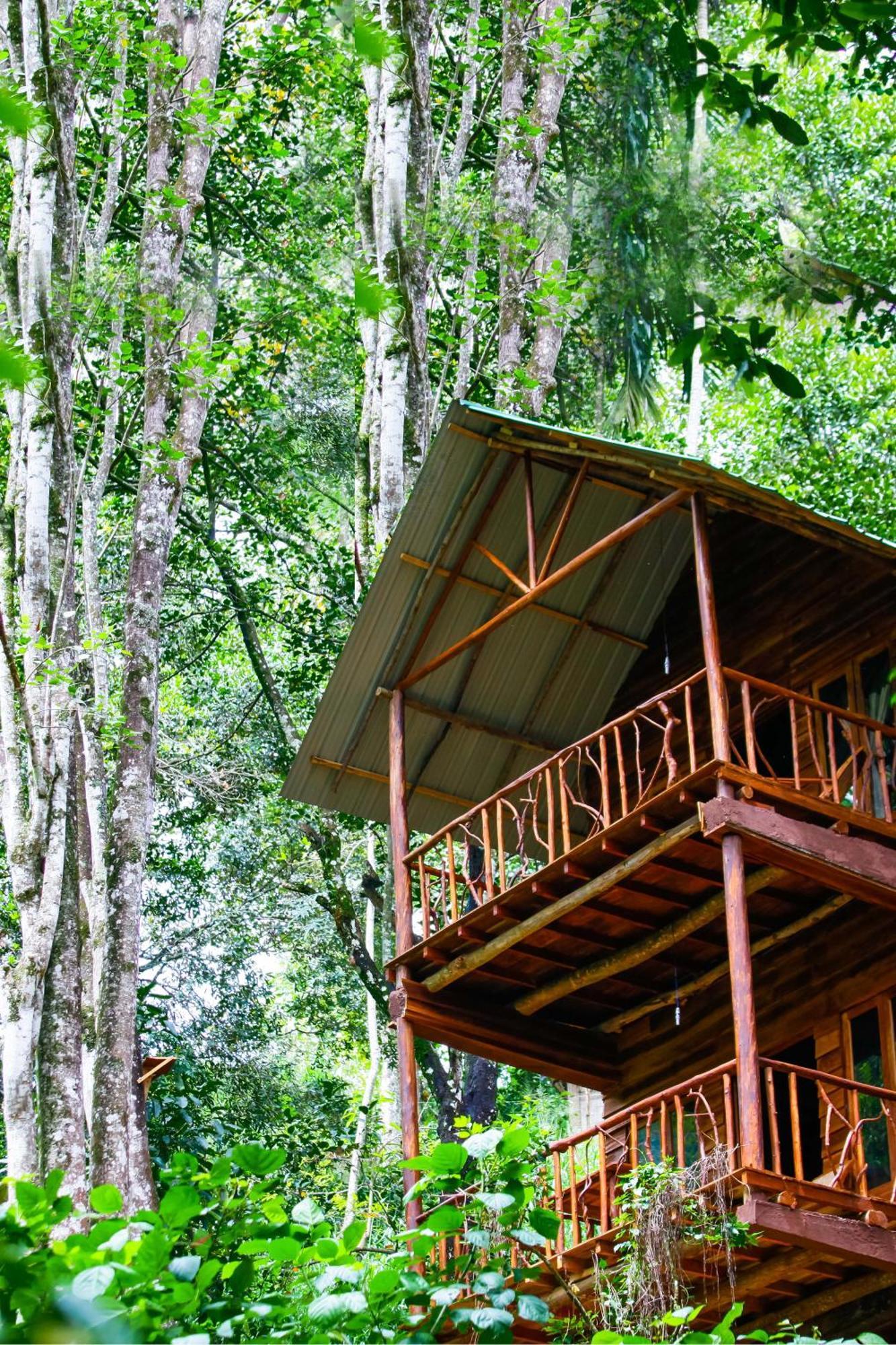 Ella Ecolodge Exterior photo