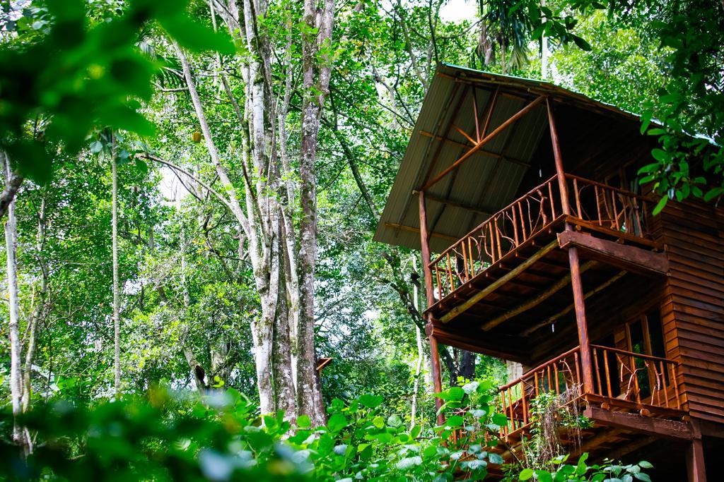 Ella Ecolodge Exterior photo
