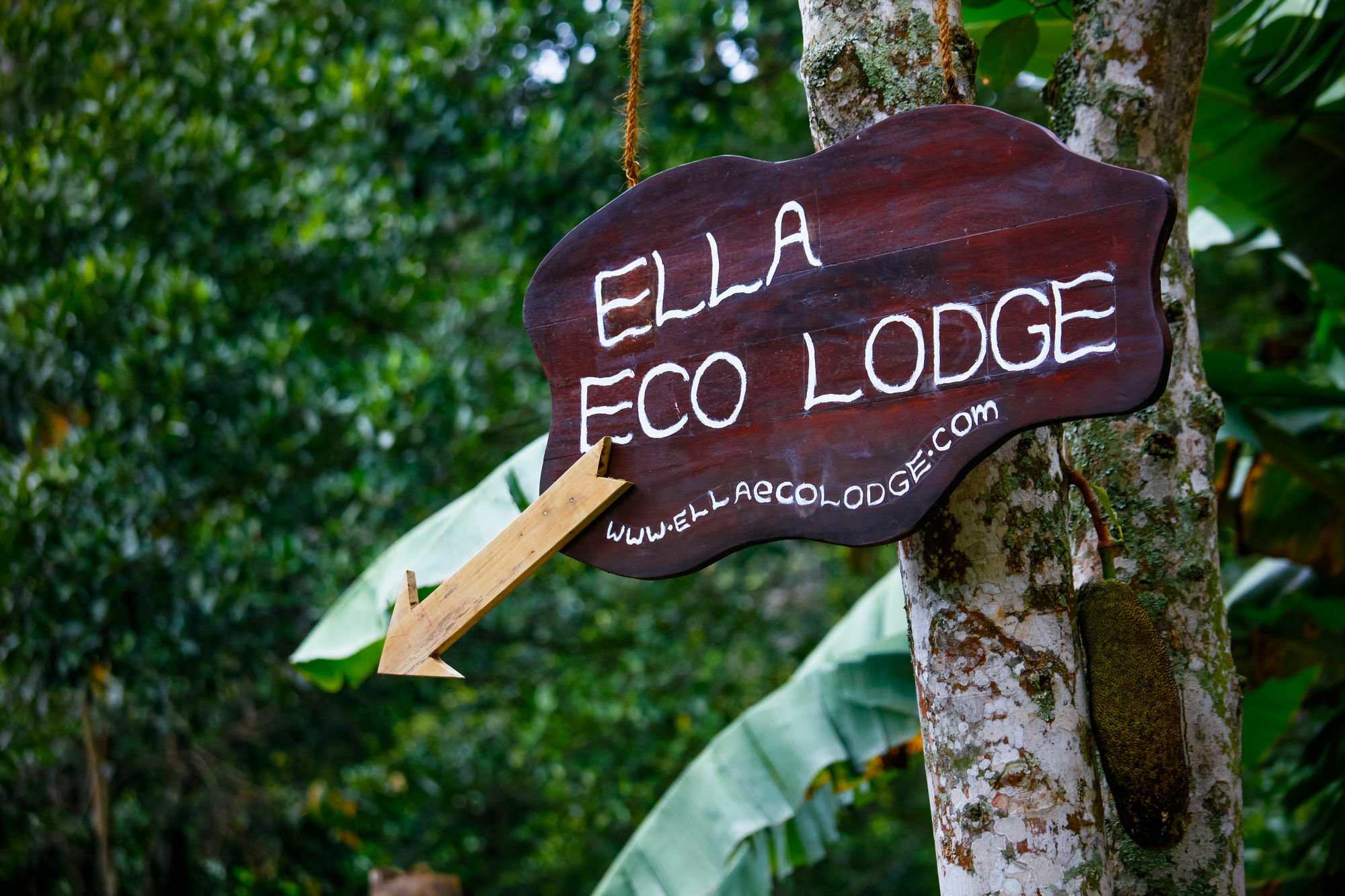 Ella Ecolodge Exterior photo
