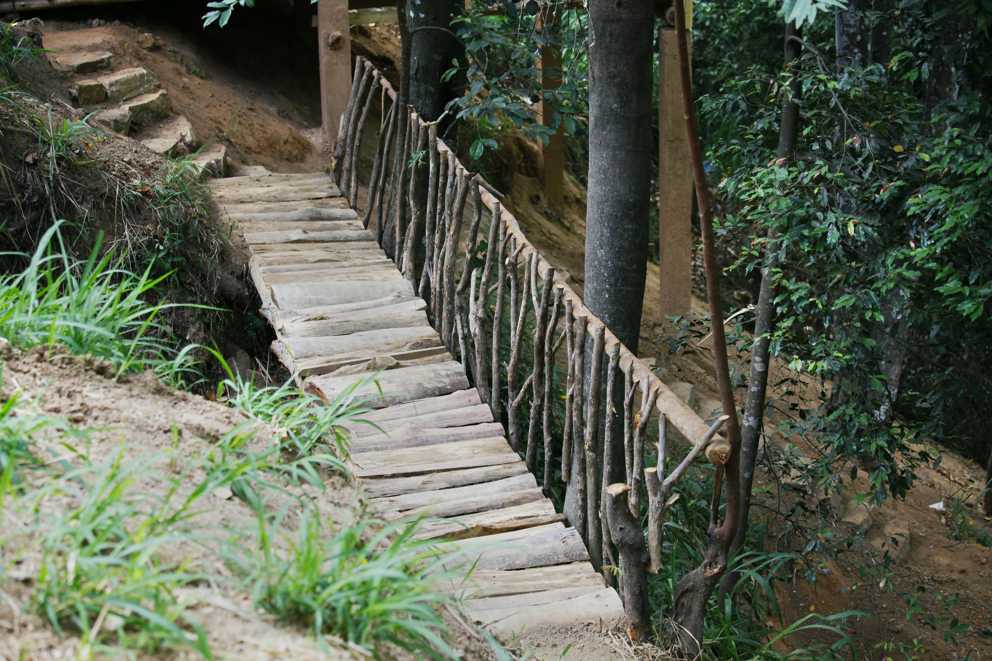 Ella Ecolodge Exterior photo