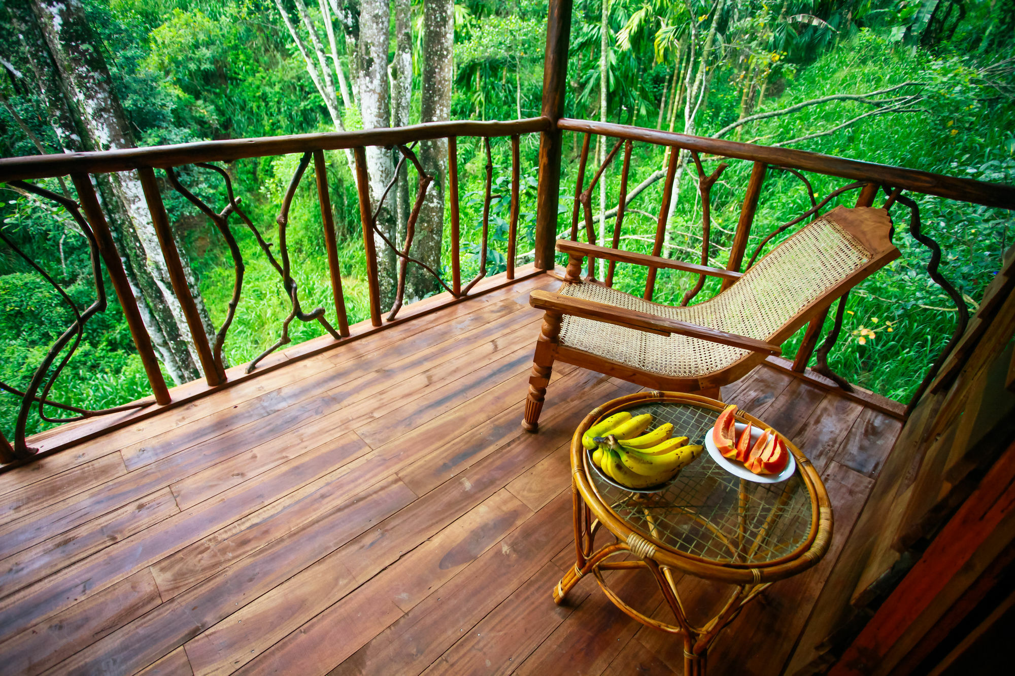 Ella Ecolodge Exterior photo